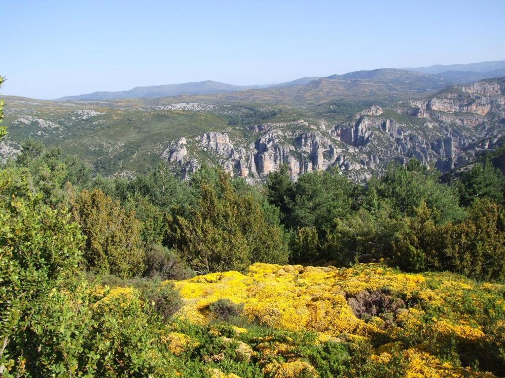 Hotel Casa Tejedor Las Almunias 외부 사진